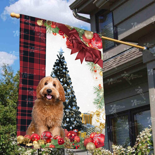 Labradoodle Flag Sitting In Front Of The Christmas Tree