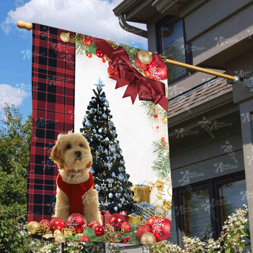 Cavadoodle Flag Sitting In Front Of The Christmas Tree