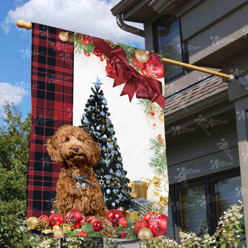 Cockerpoo Flag Sitting In Front Of The Christmas Tree