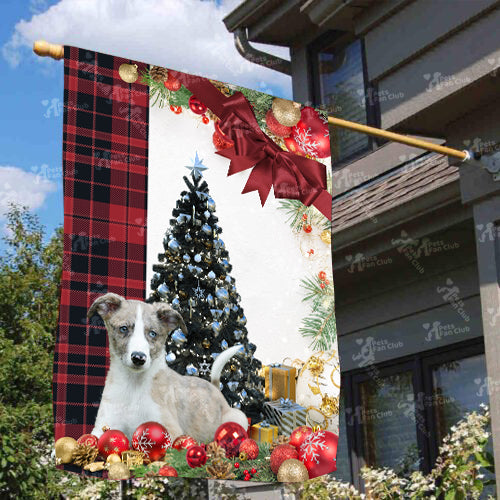 Lurcher Flag Sitting In Front Of The Christmas Tree