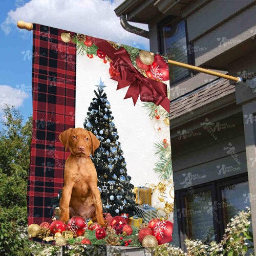 Vizsla Flag Sitting In Front Of The Christmas Tree