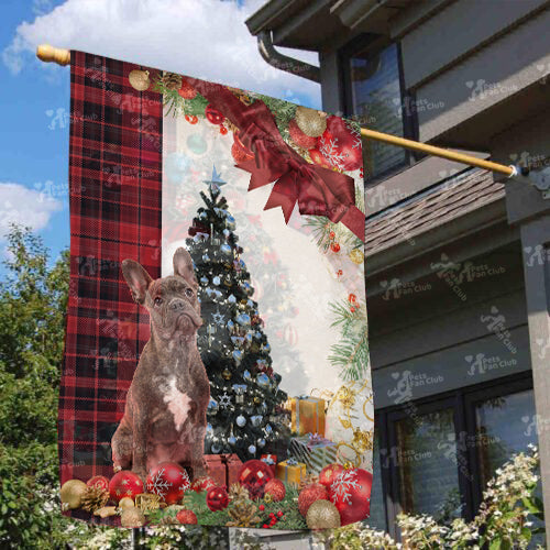 French Bulldog Flag Sitting In Front Of The Christmas Tree