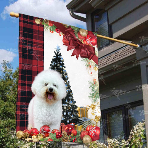 Bichon Frise Flag Sitting In Front Of The Christmas Tree