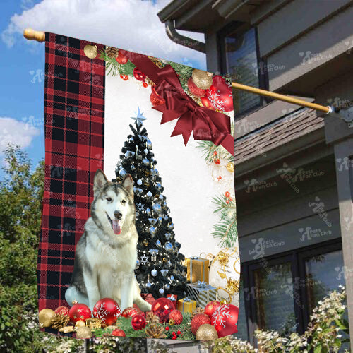 Alaskan Malamute Flag Sitting In Front Of The Christmas Tree