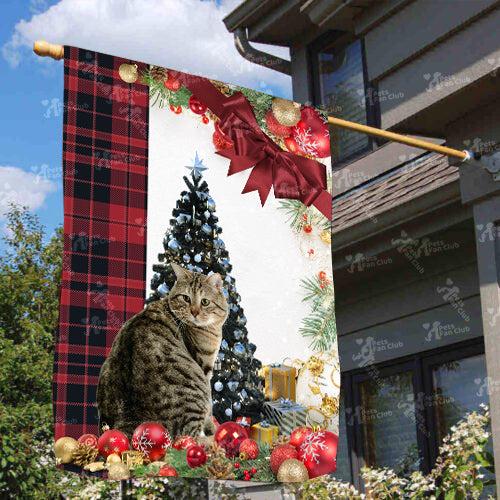 American Bobtail Cat Flag Sitting In Front Of The Christmas Tree