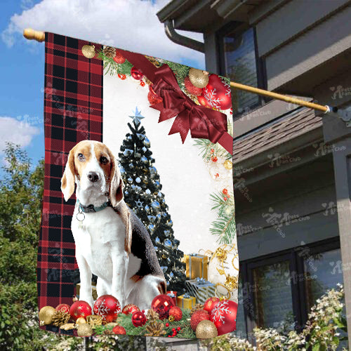 Beagle Flag Sitting In Front Of The Christmas Tree