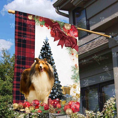 Rough Collie Flag Sitting In Front Of The Christmas Tree