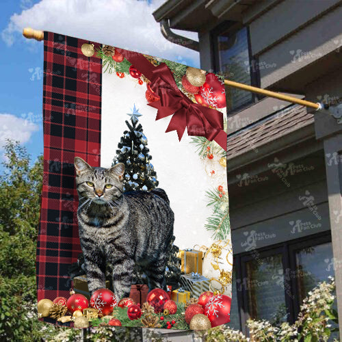 Manx Cat Flag Sitting In Front Of The Christmas Tree