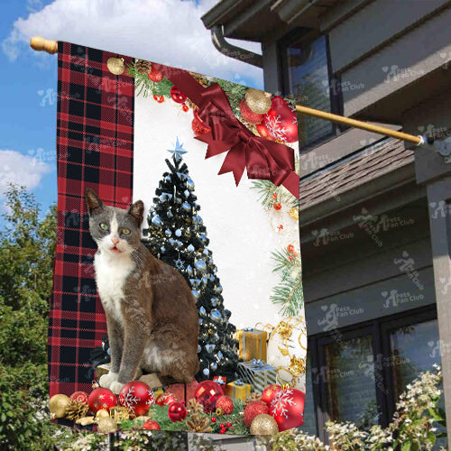 Aegean Cat Flag Sitting In Front Of The Christmas Tree