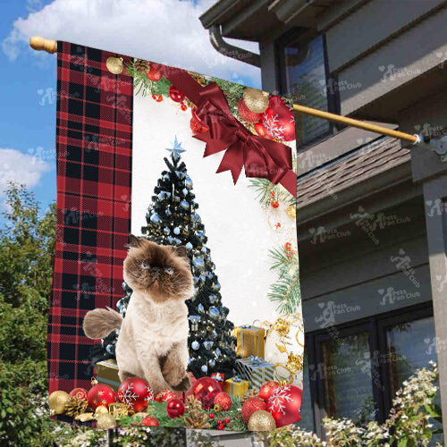 Himalayan Cat Flag Sitting In Front Of The Christmas Tree