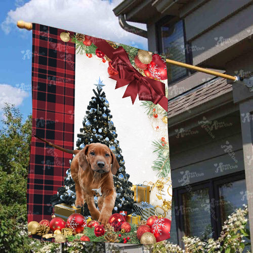 Rhodesian Ridgeback Flag Sitting In Front Of The Christmas Tree