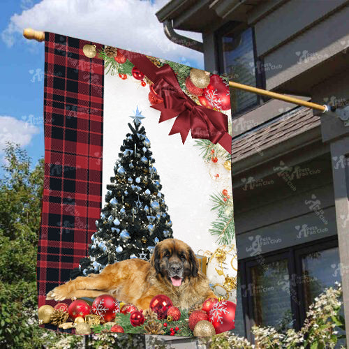 Leonberger Flag Sitting In Front Of The Christmas Tree