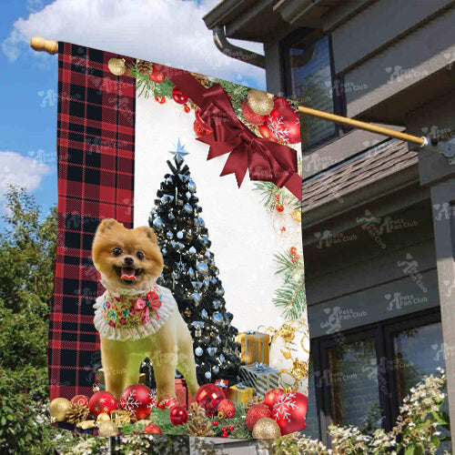 Pomeranian Flag Sitting In Front Of The Christmas Tree