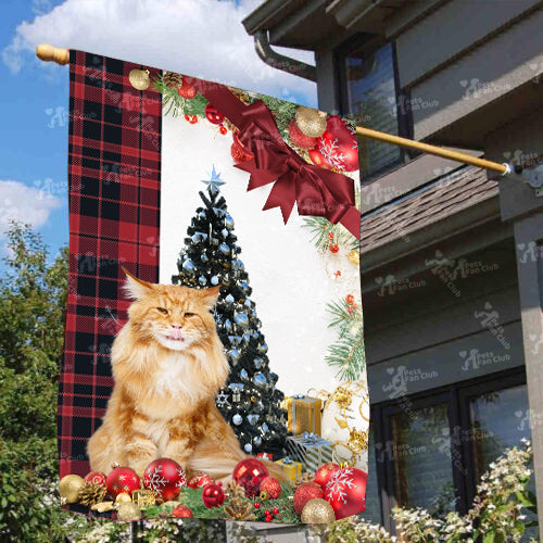 Maine Coon Cat Flag Sitting In Front Of The Christmas Tree