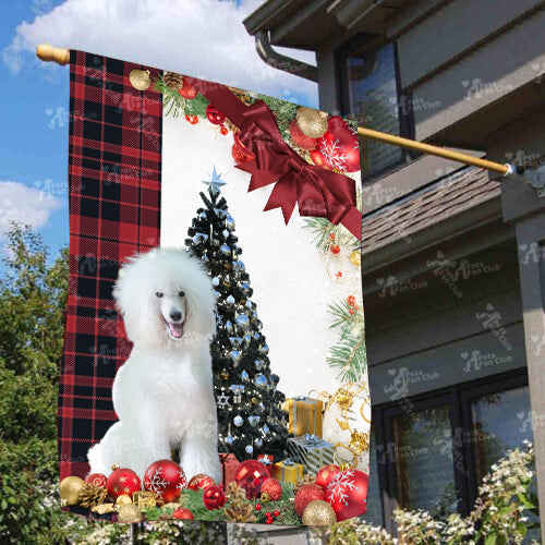 White Poodle Flag Sitting In Front Of The Christmas Tree