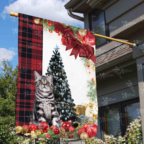 Bristish Shorthair Cat Flag Sitting In Front Of The Christmas Tree