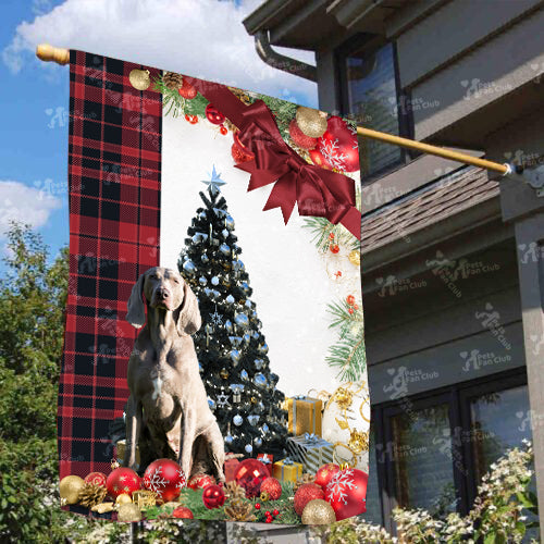 Weimaraner Flag Sitting In Front Of The Christmas Tree