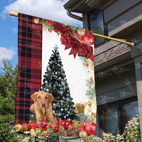 Fox Red Labrador Flag Sitting In Front Of The Christmas Tree