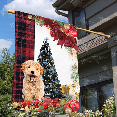 Poodle Flag Sitting In Front Of The Christmas Tree