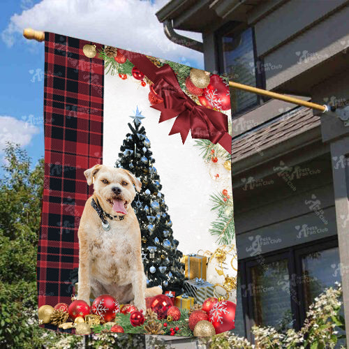 Border Terrier Flag Sitting In Front Of The Christmas Tree