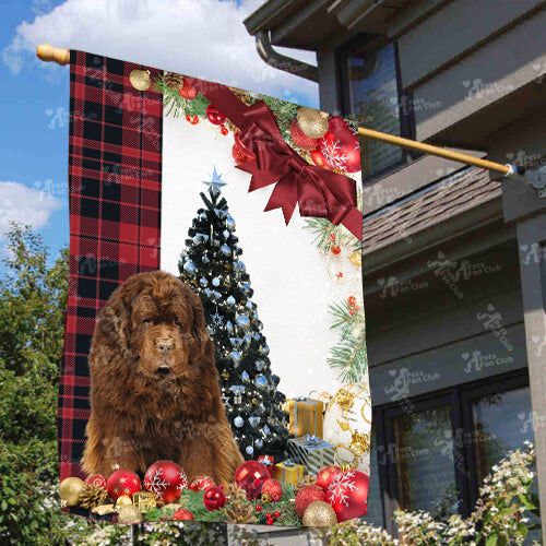 Newfoundland Flag Sitting In Front Of The Christmas Tree