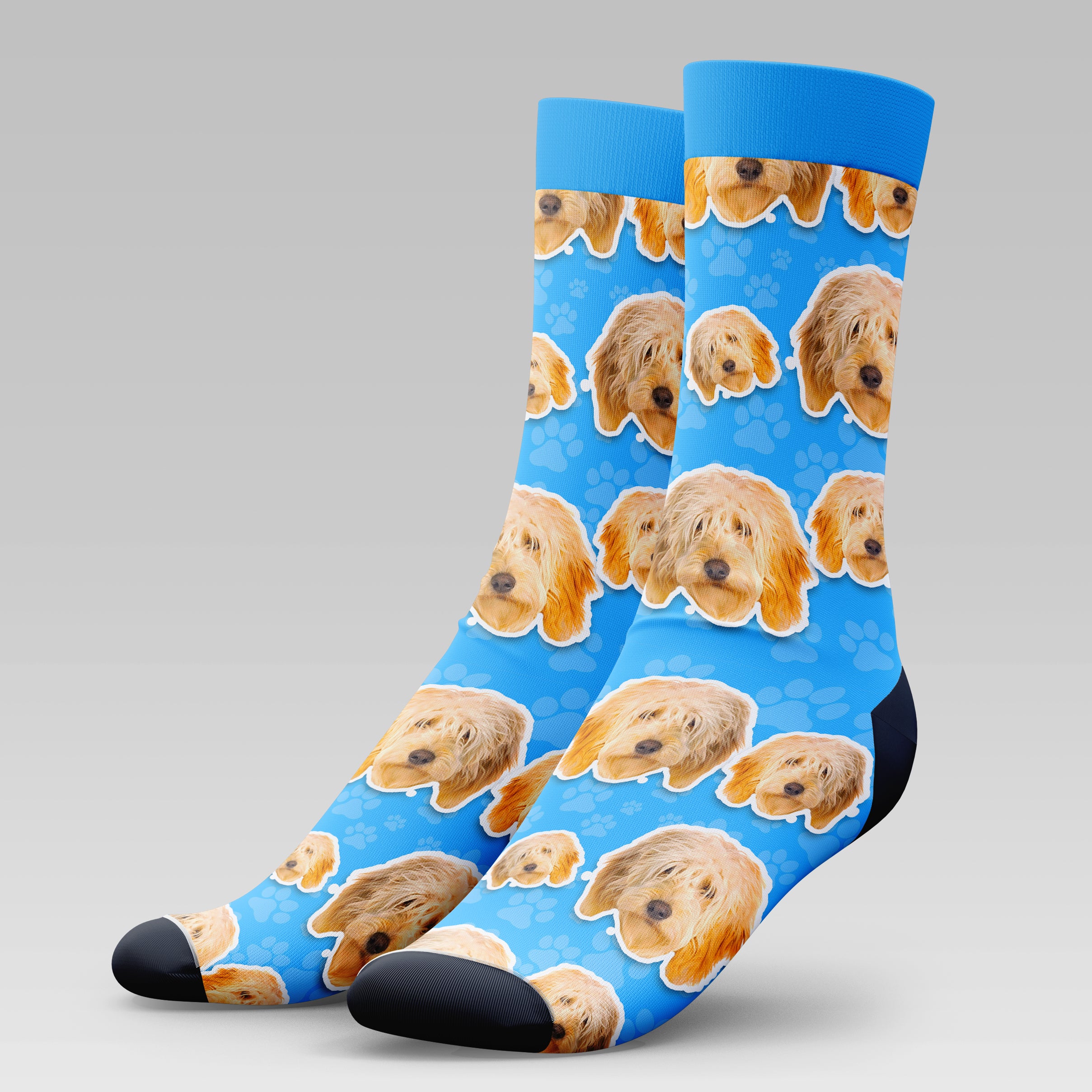 Golden Doodle Dog | Socks