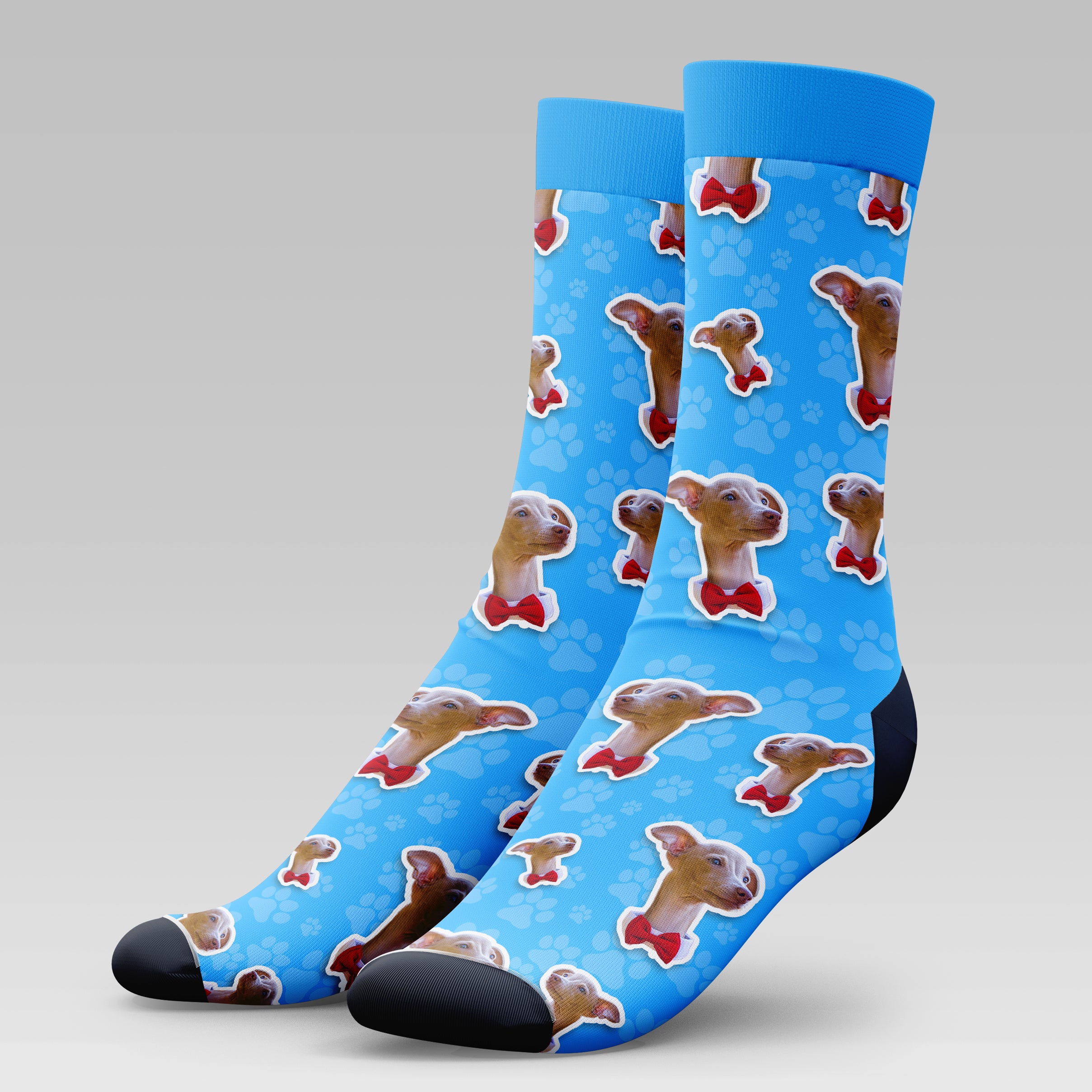 Greyhound Dog | Socks