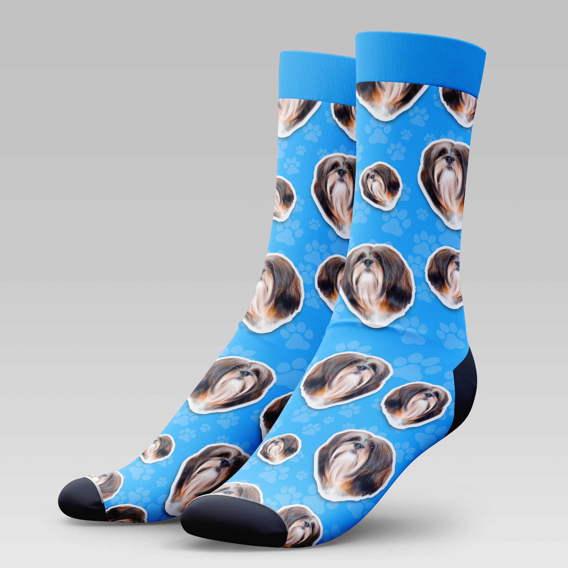 Lhasa Apso Dog | Socks