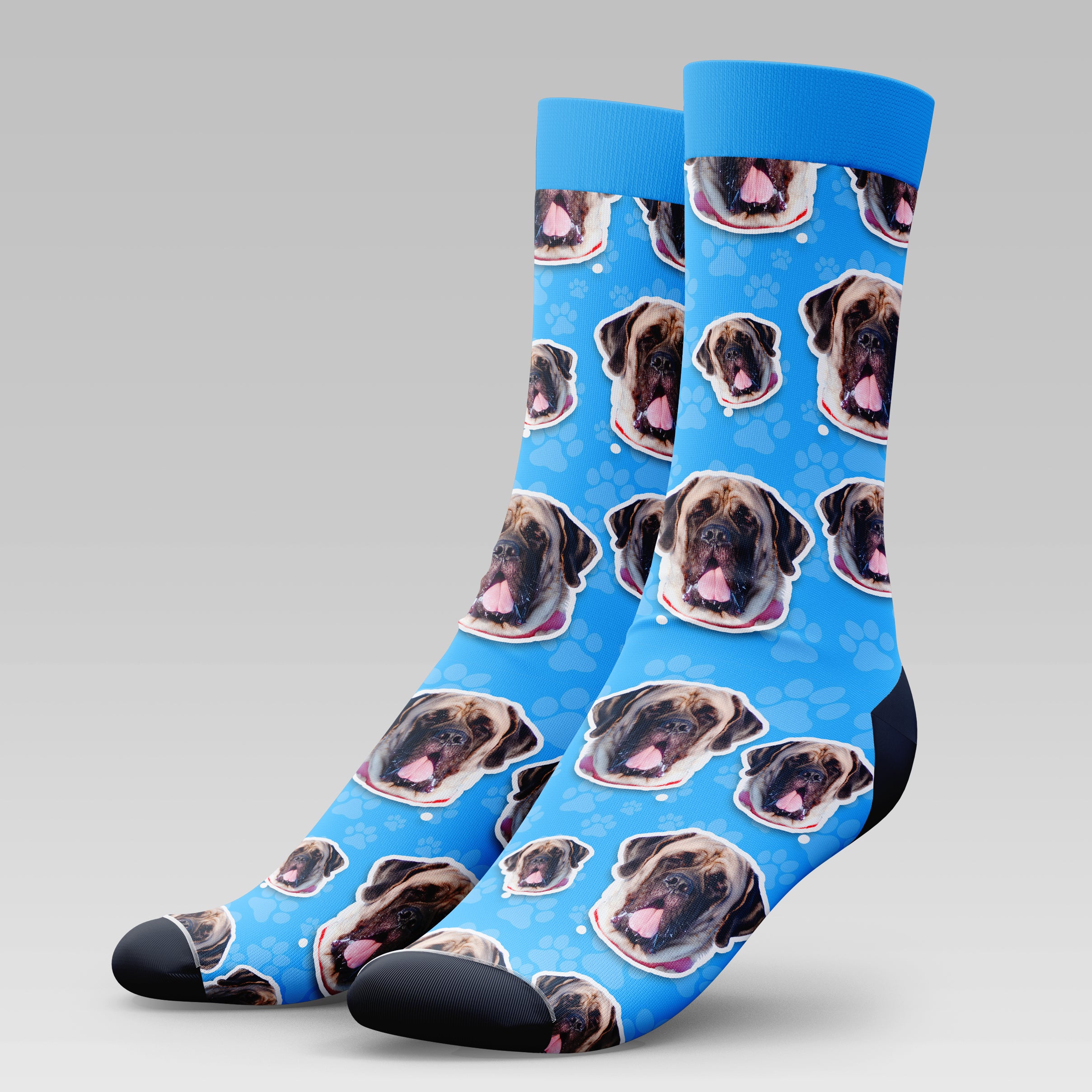 Mastiff Dog | Socks