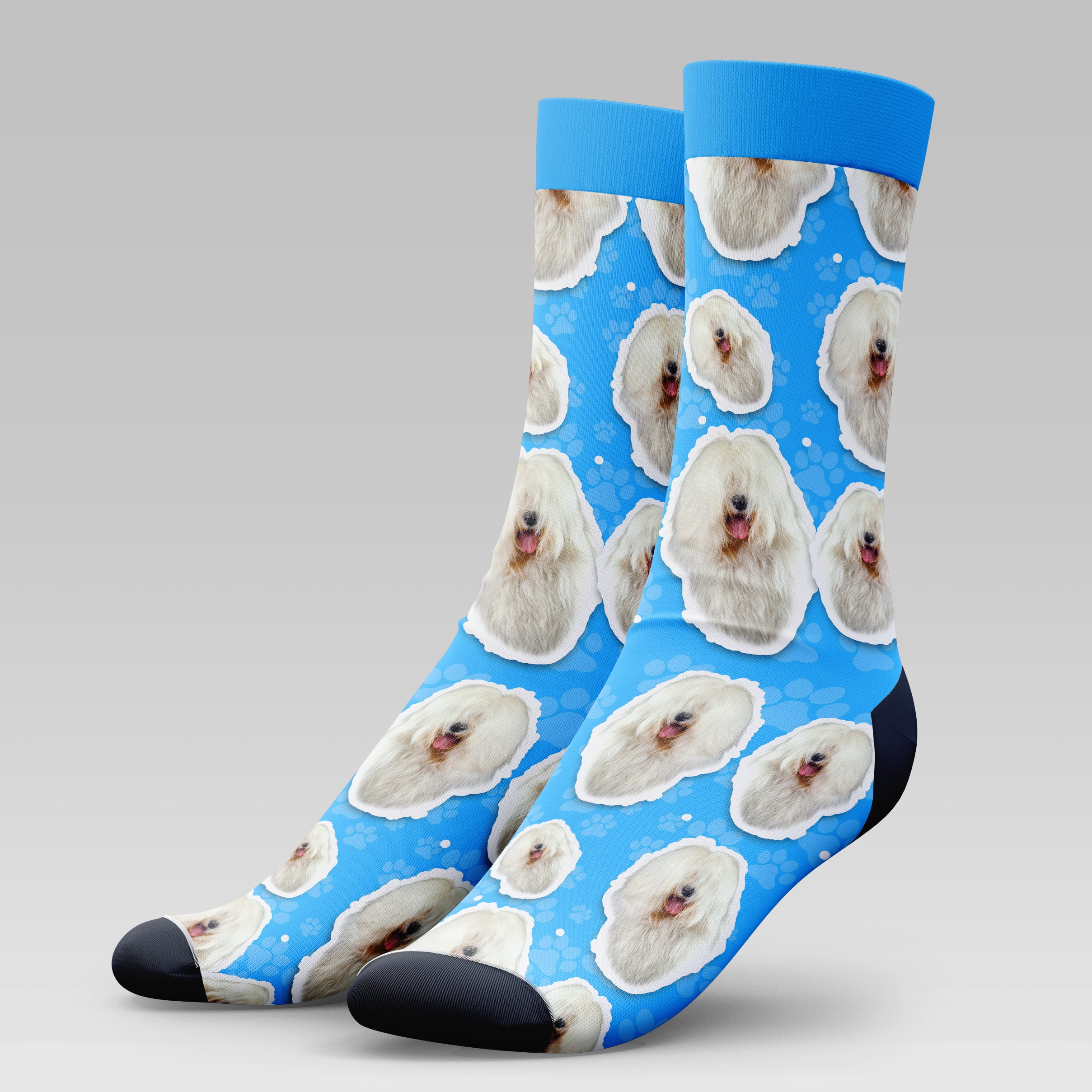 Old English Sheepdog Dog | Socks