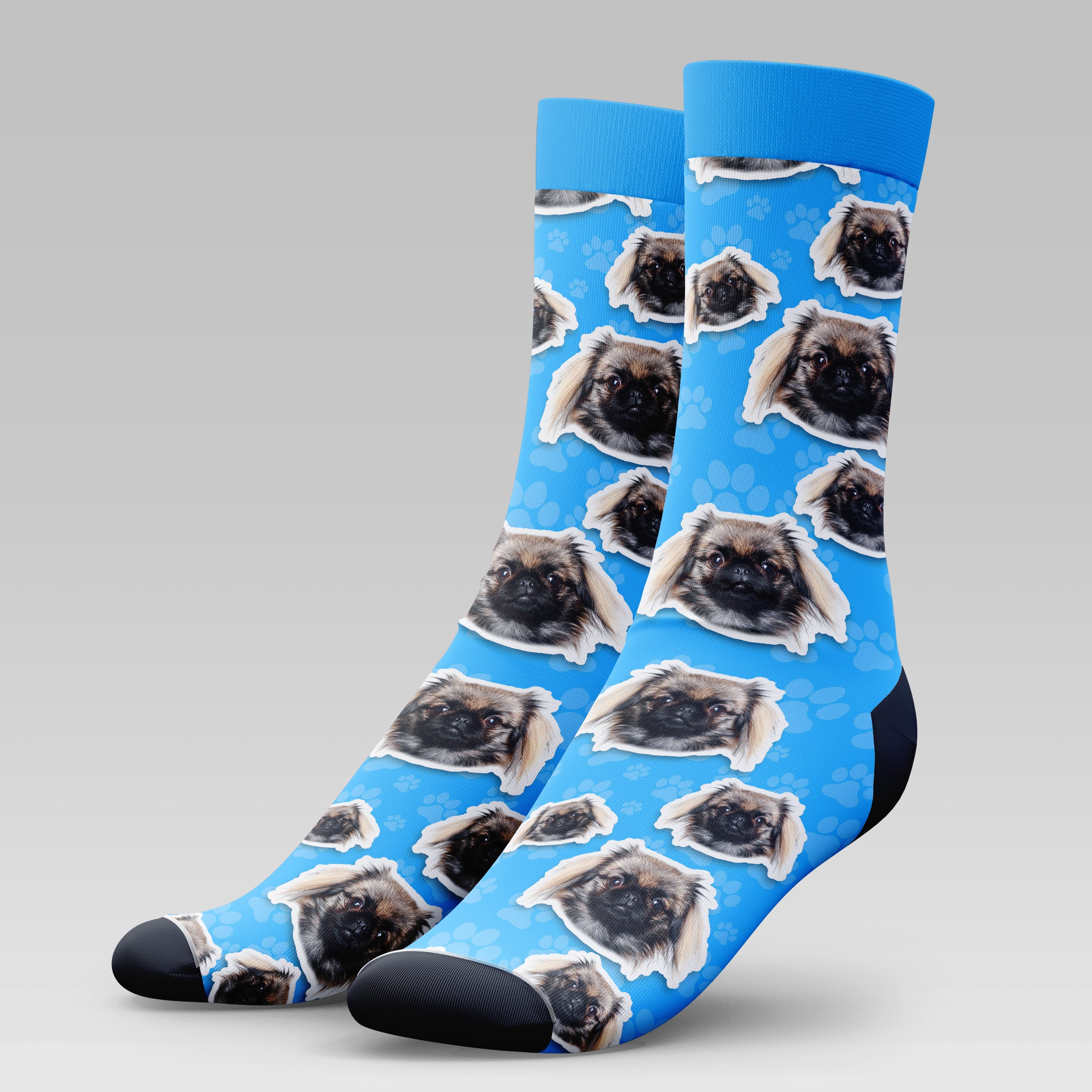 Pekingese Dog | Socks