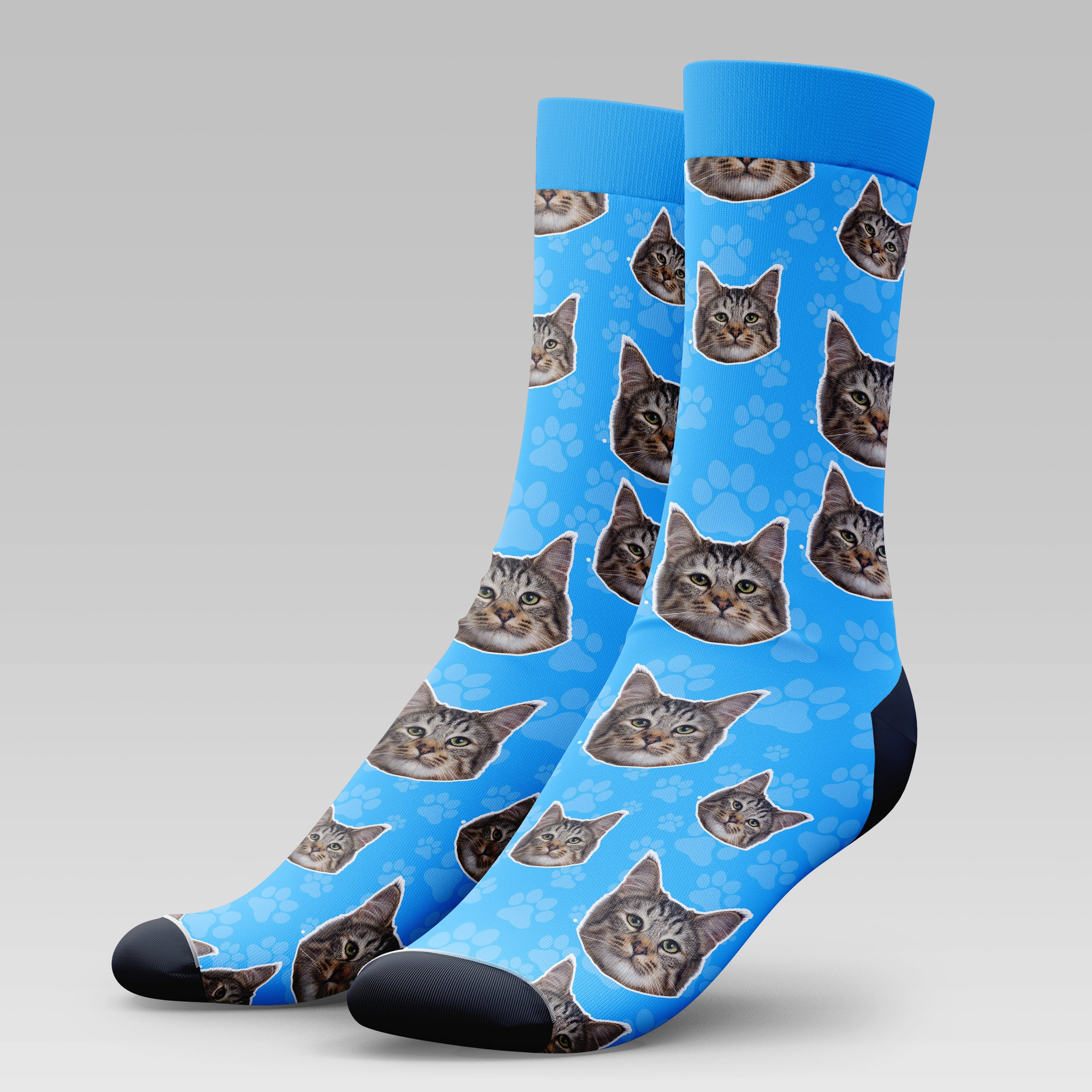 Pixiebob Cat | Socks