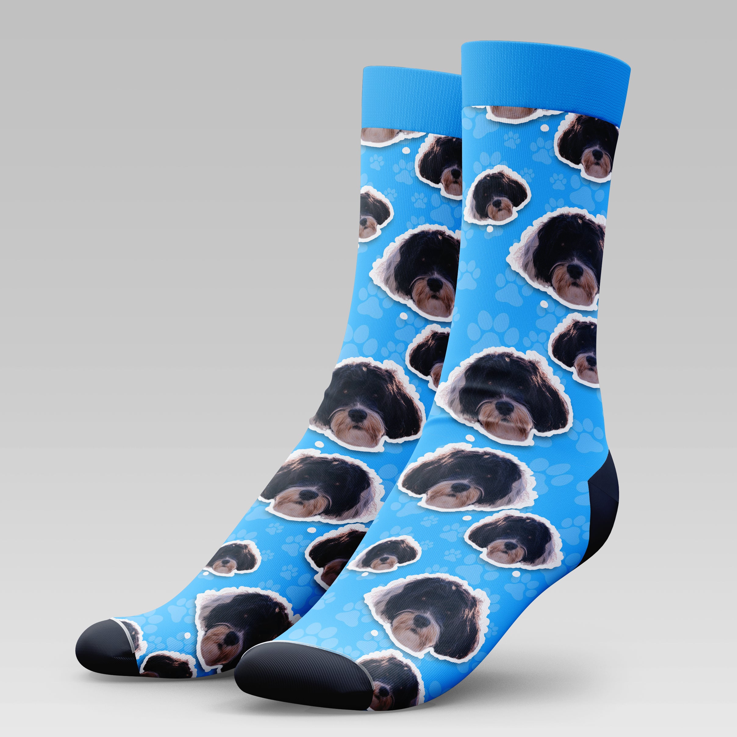 Portuguese Water Dog | Socks