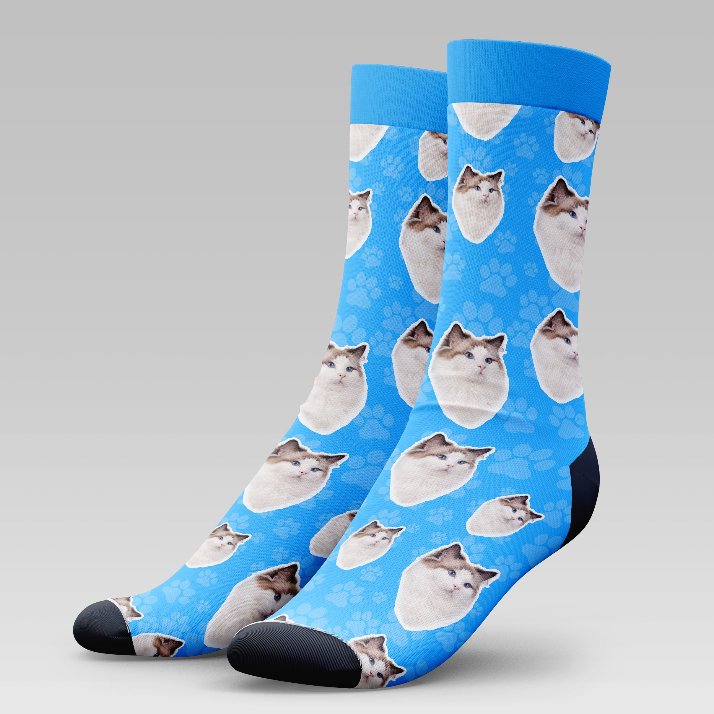 Ragdoll Cat | Socks