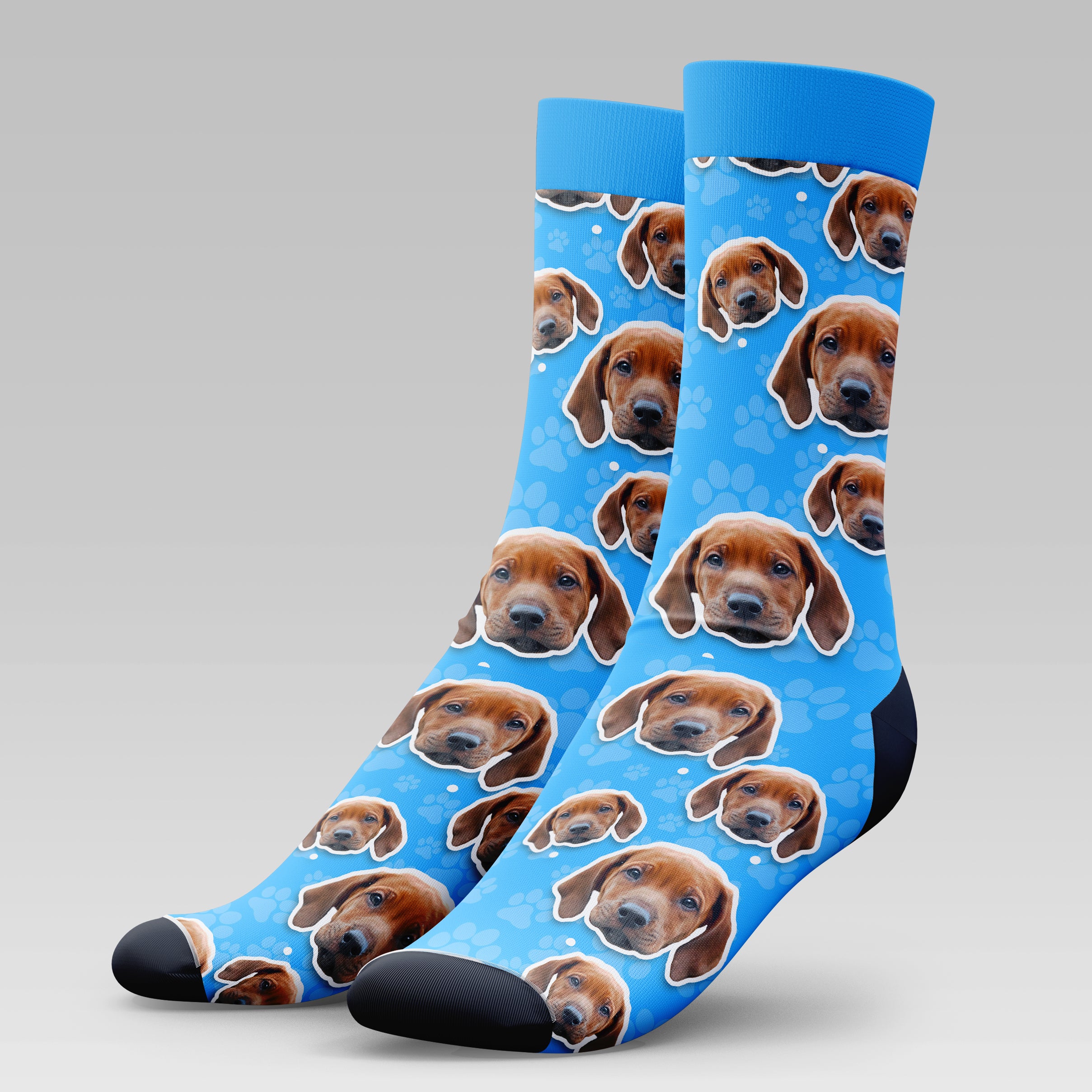 Rhodesian Ridgeback Dog | Socks