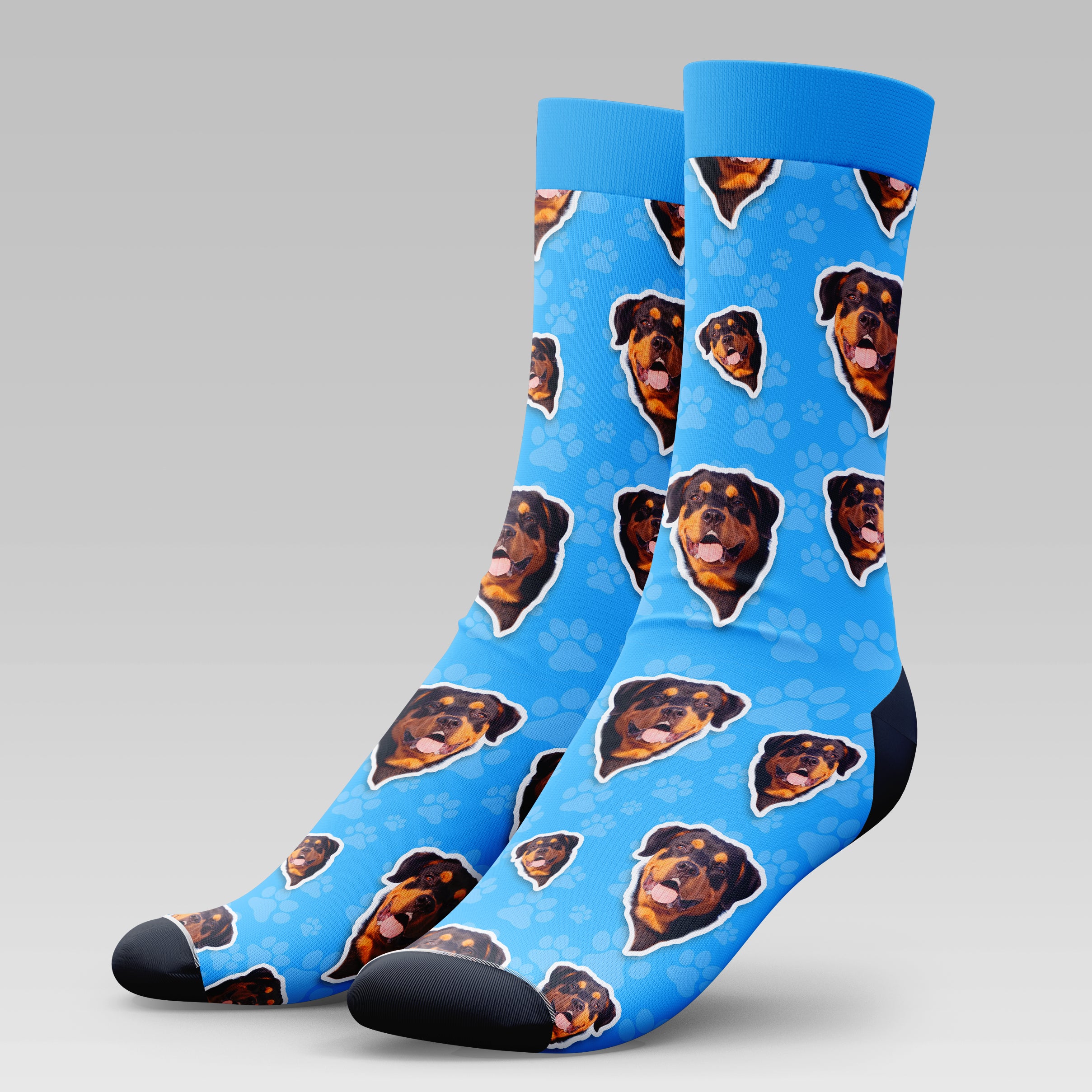 Rottweiler Dog | Socks