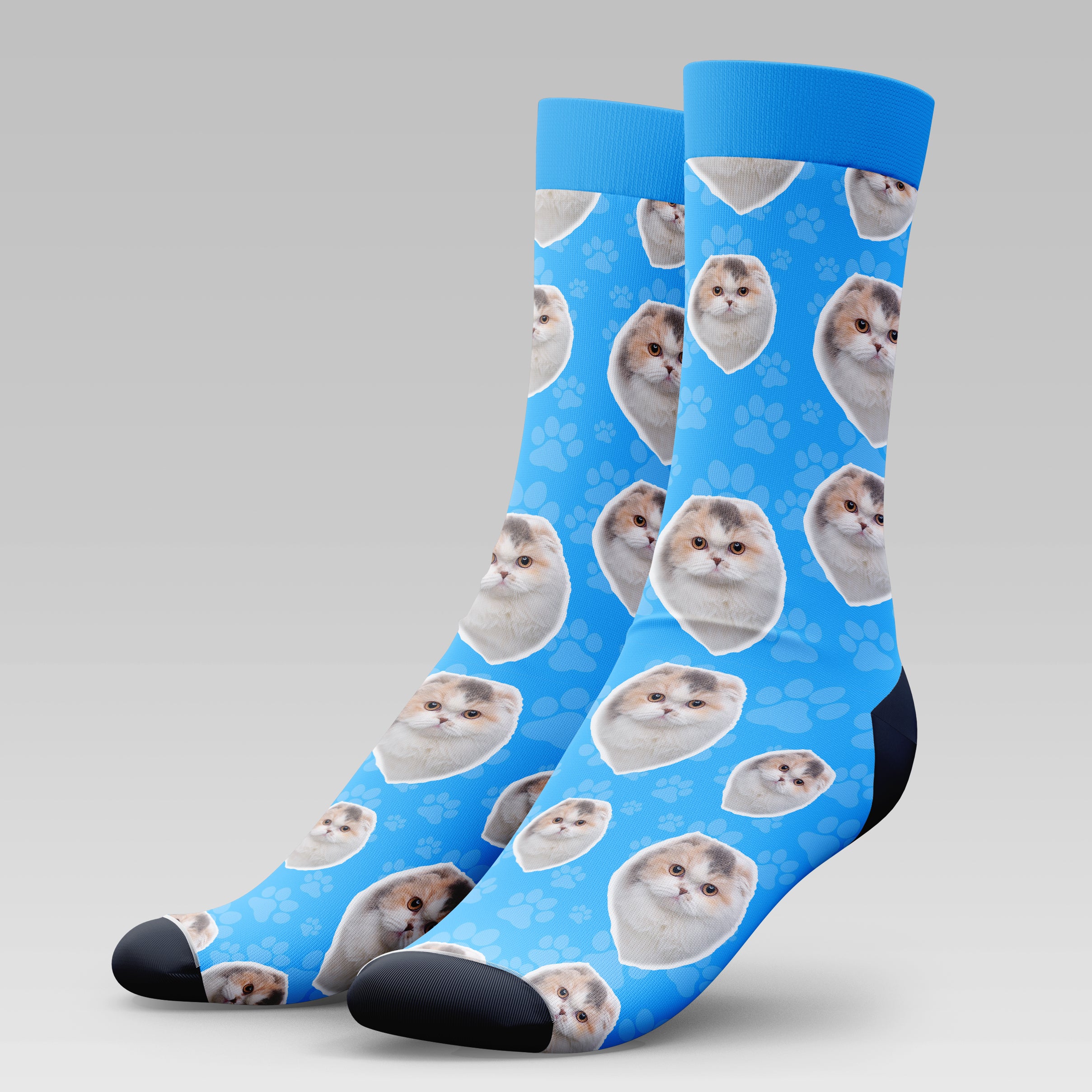 Scottish Fold Cat | Socks