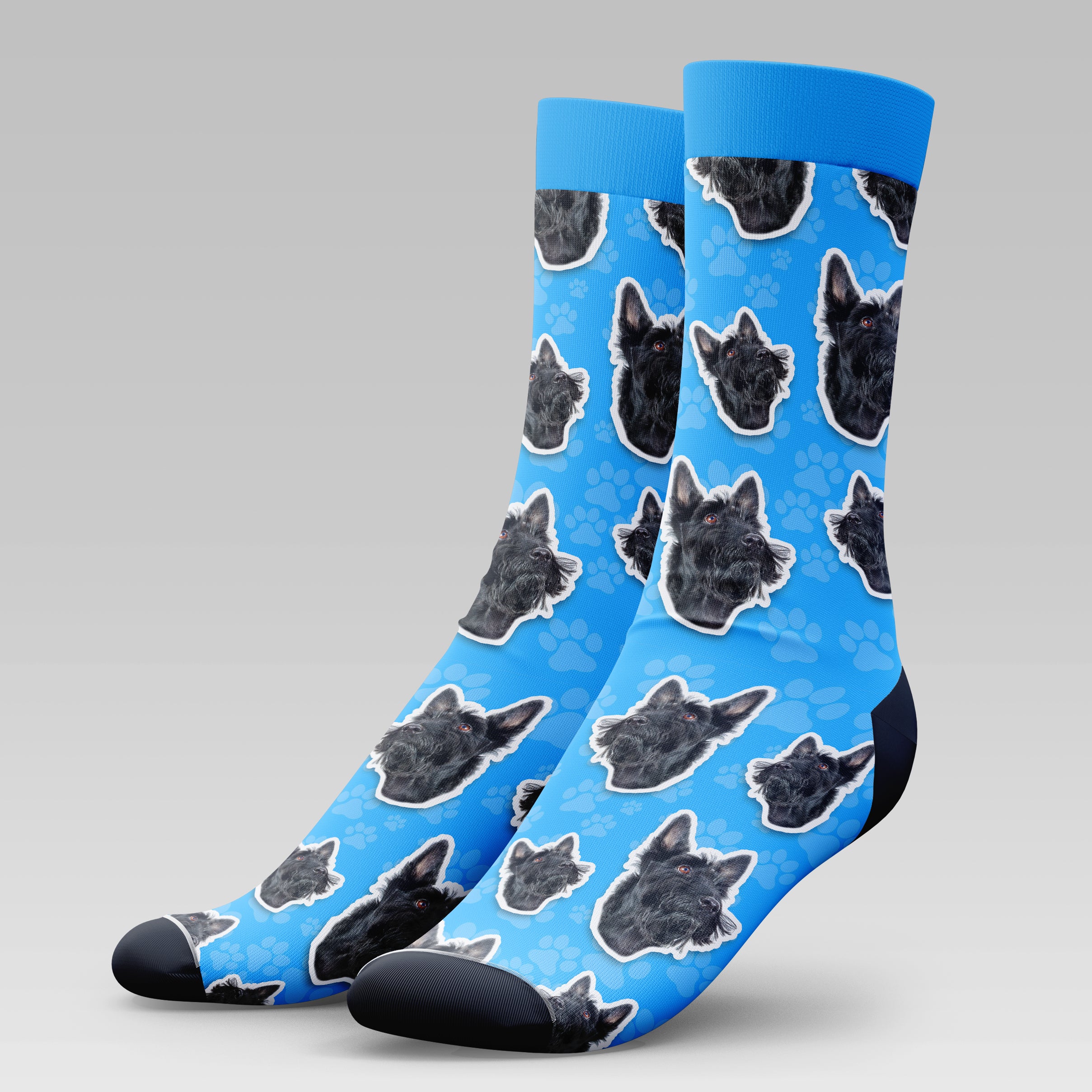 Scottish Terrier Dog | Socks