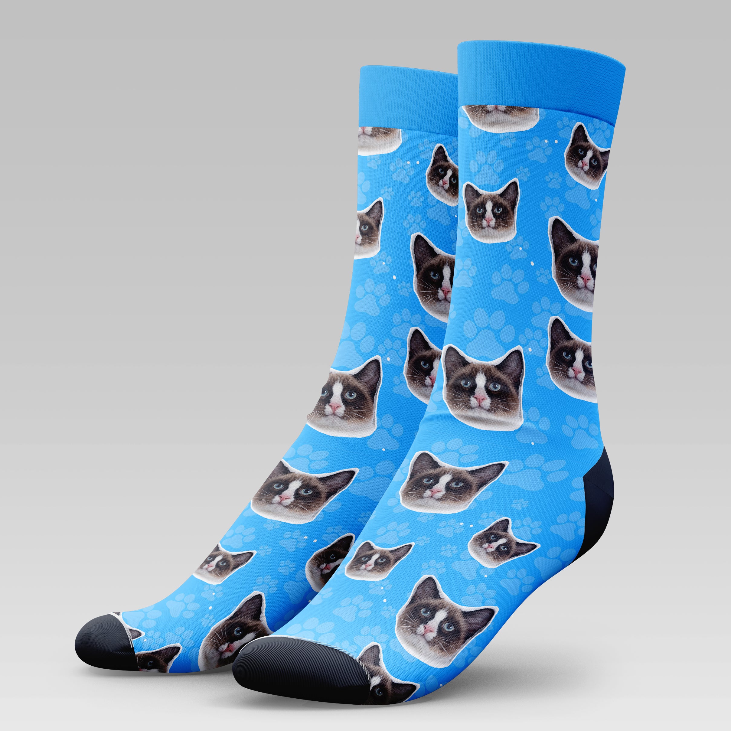 Snowshoe Cat | Socks