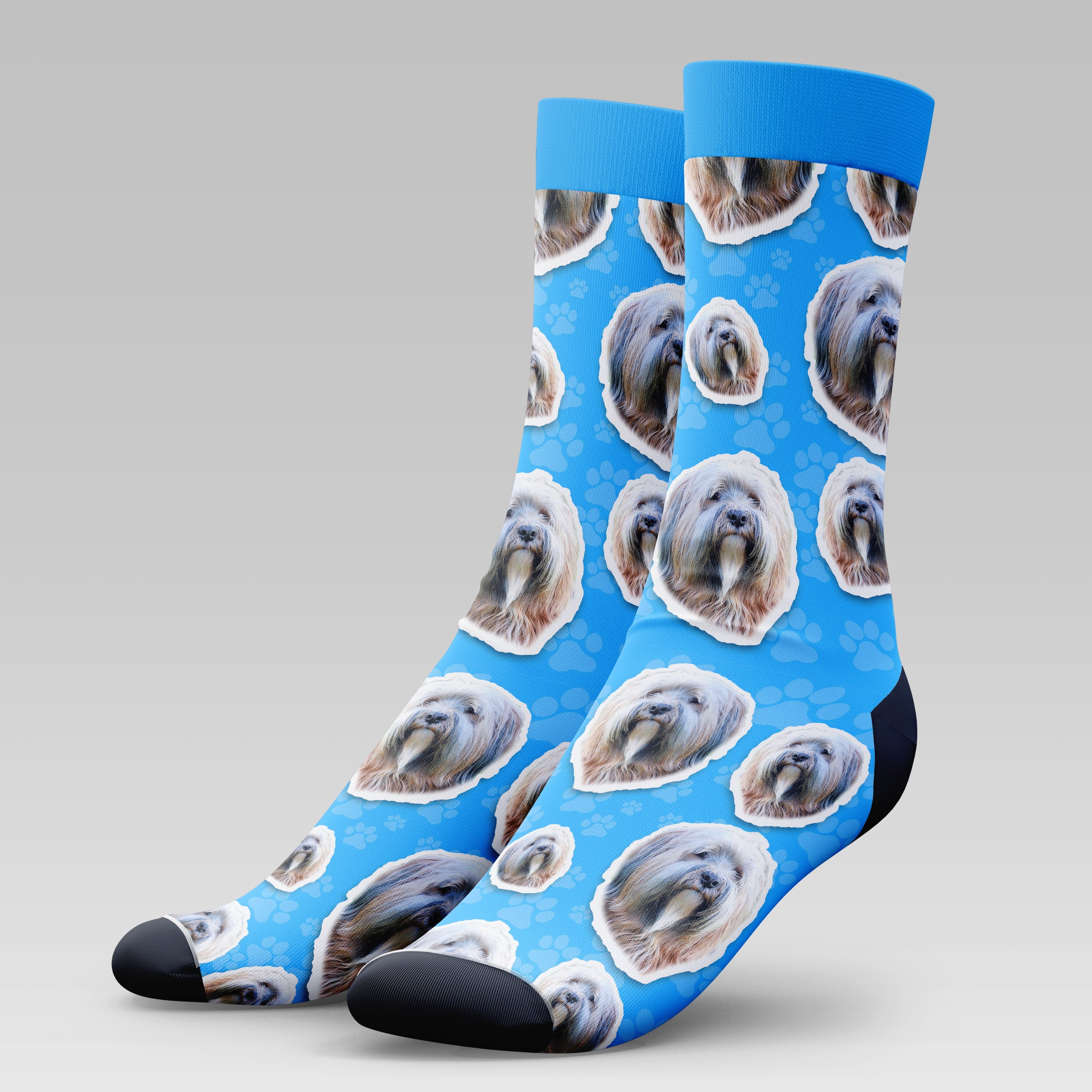 Tibetan Terrier Dog | Socks