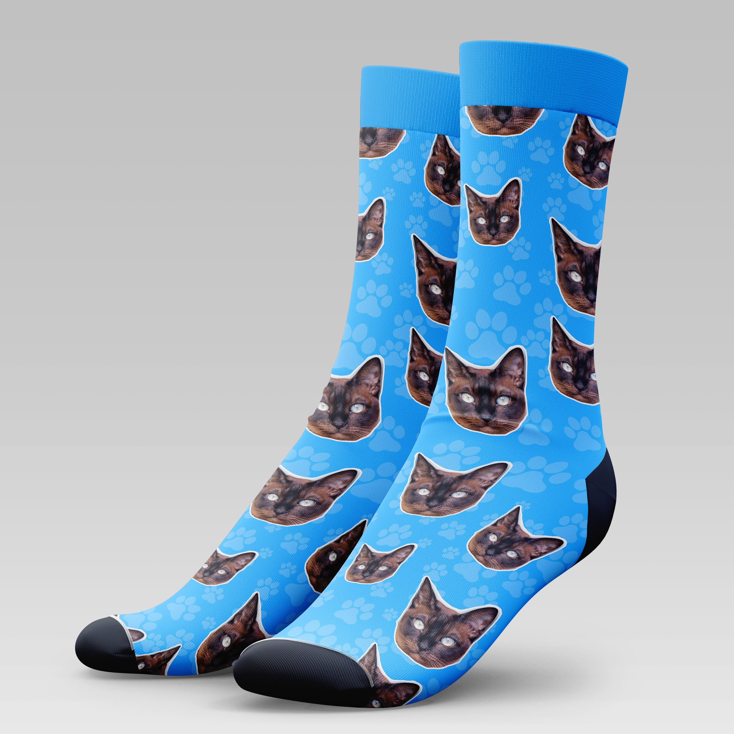 Tonkinese Cat | Socks