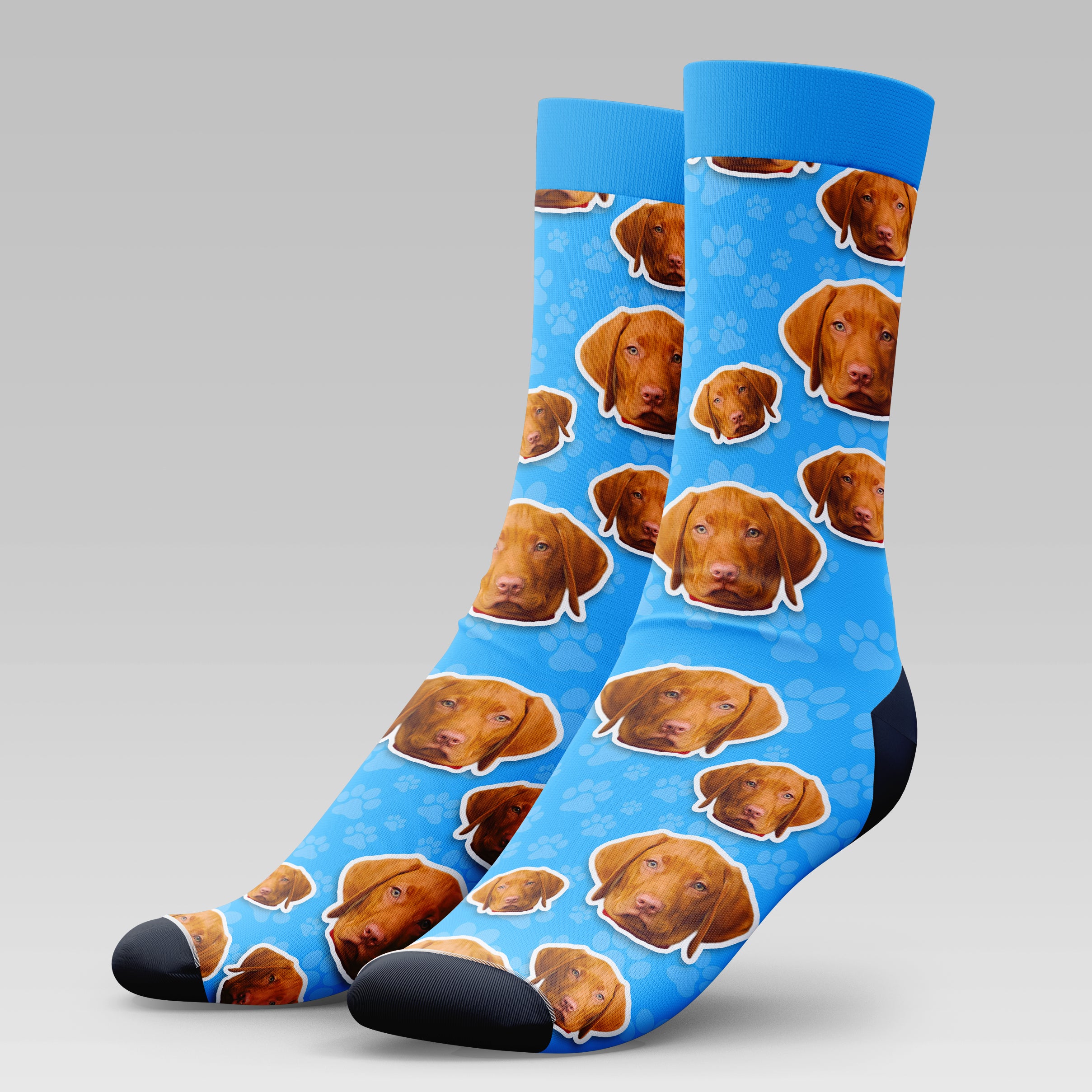 Visla Dog | Socks