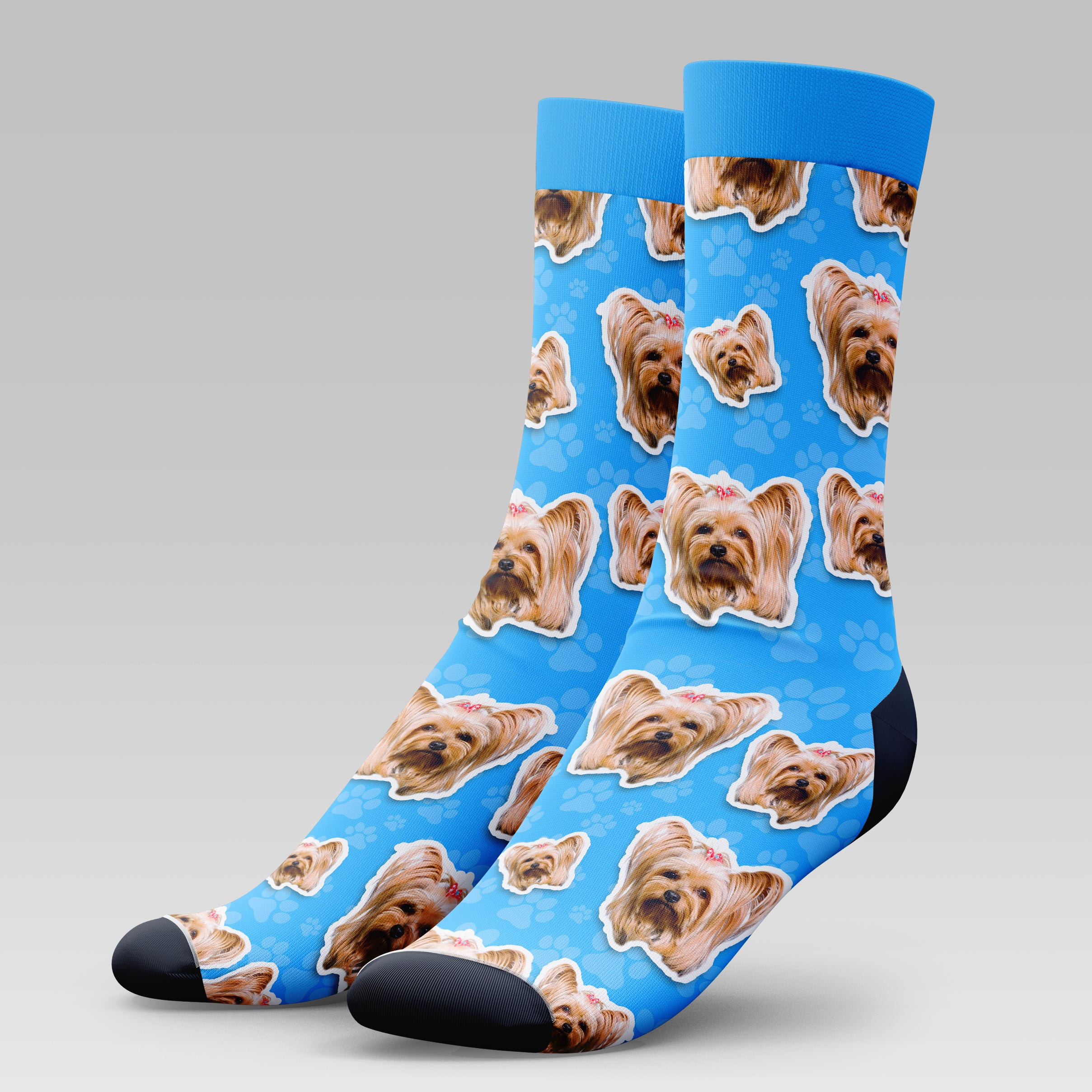 Yorkshire Dog | Socks