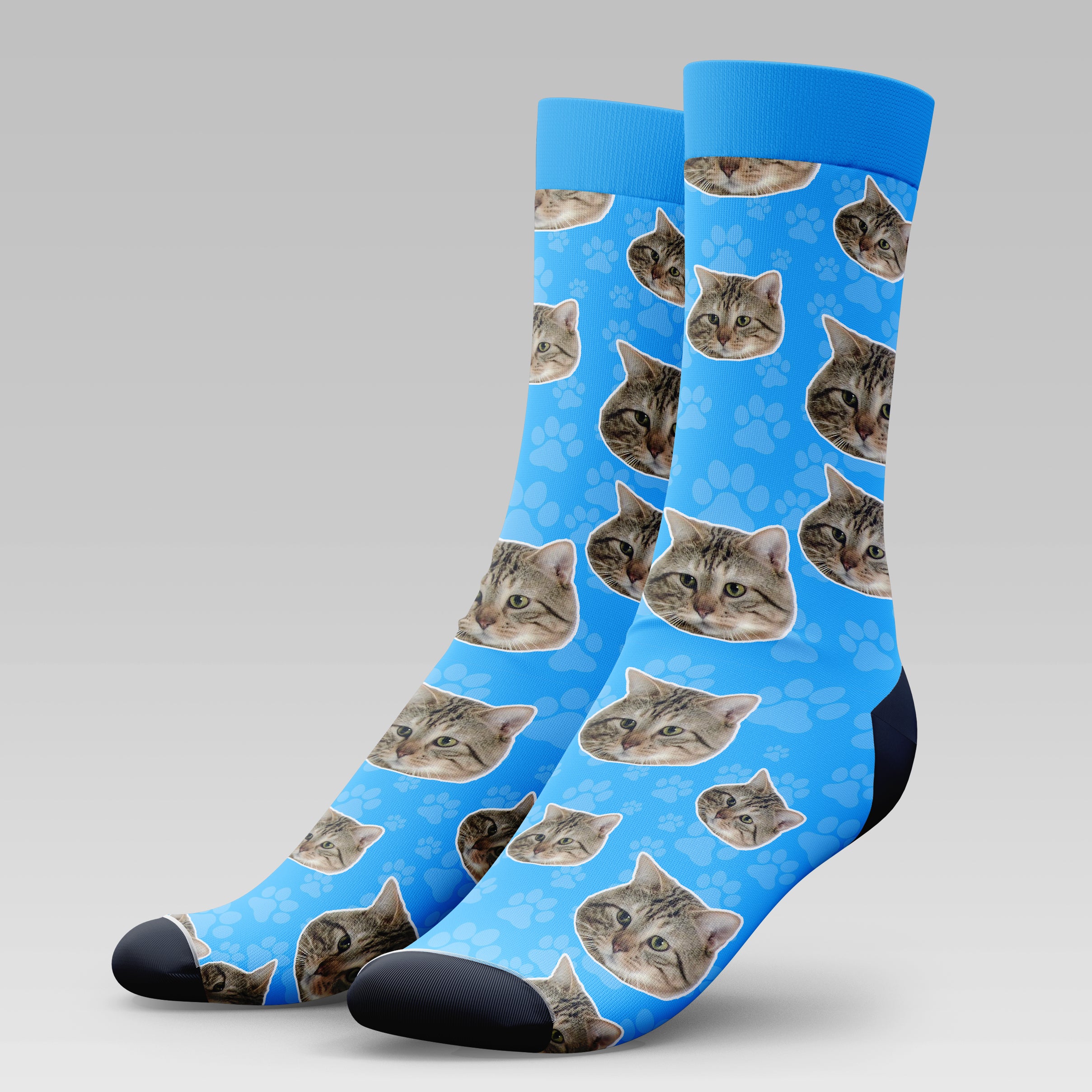 American Bobtail Cat | Socks