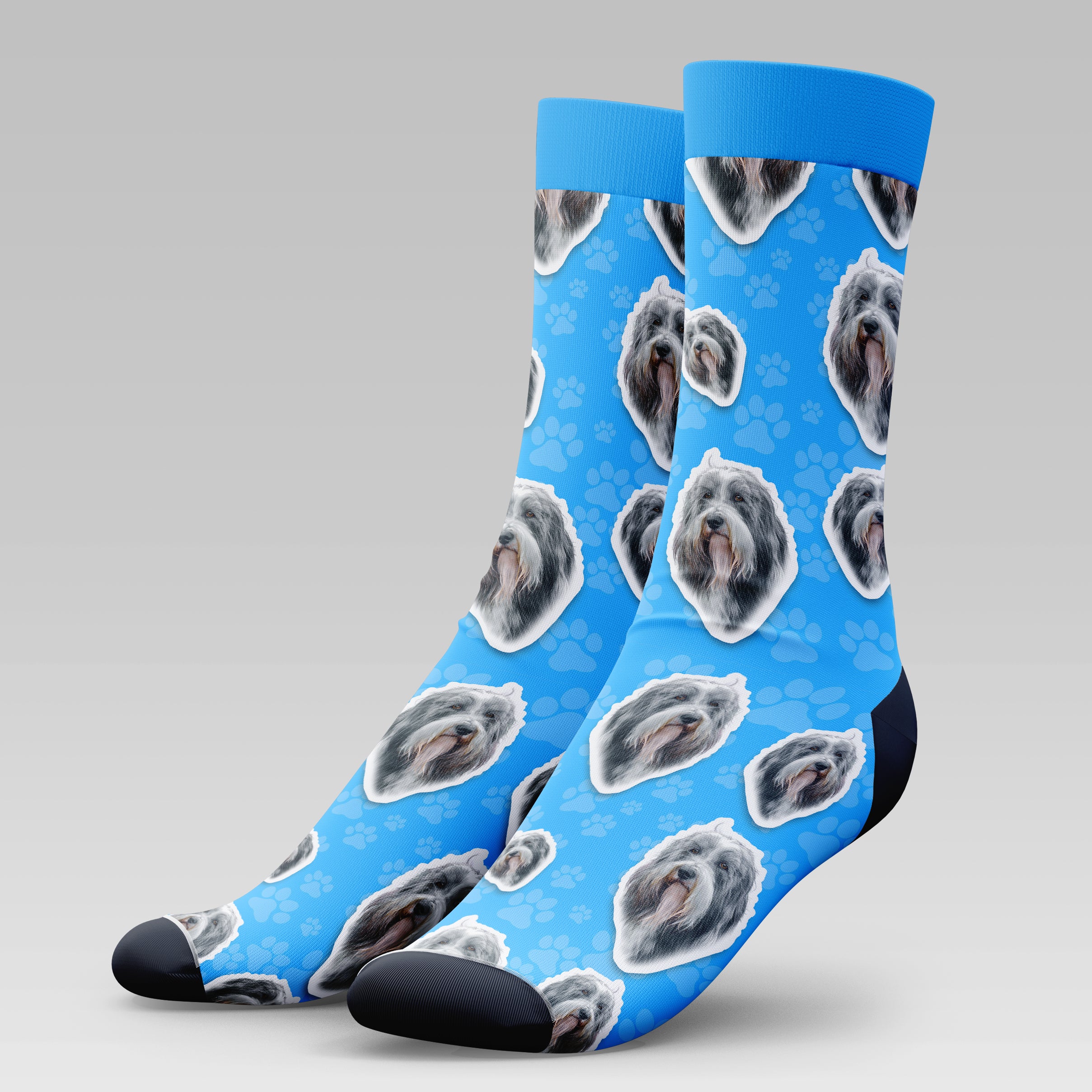 Bearded Collie Dog | Socks