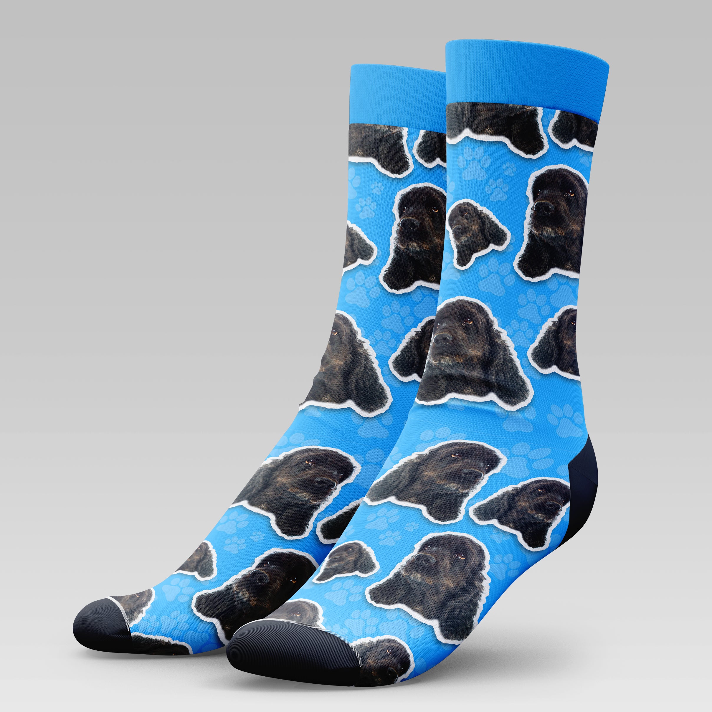 Black Cocker Spaniel Dog | Socks