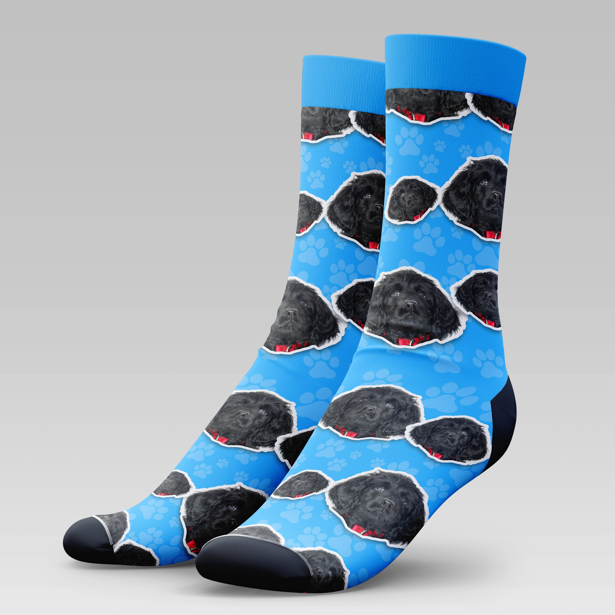 Black Labradoodle Dog | Socks