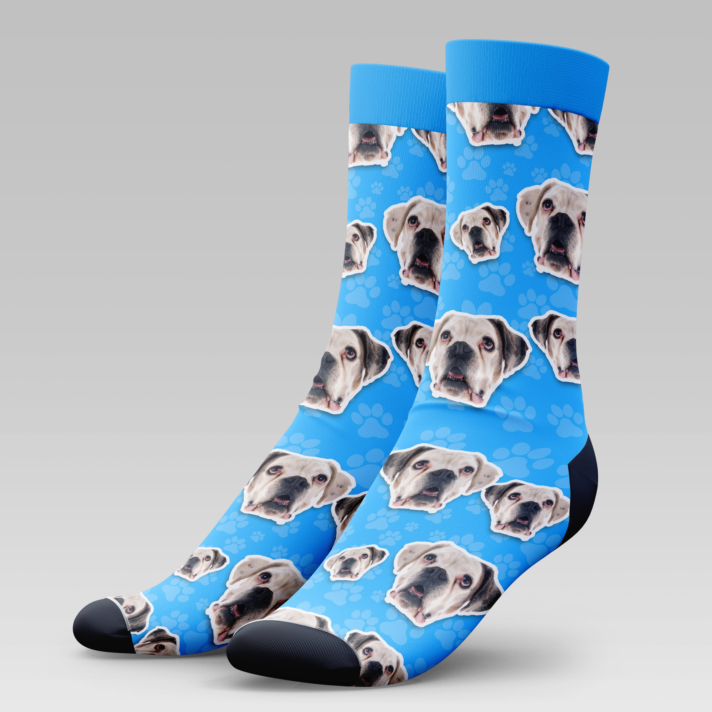 Boxer Dog | Socks