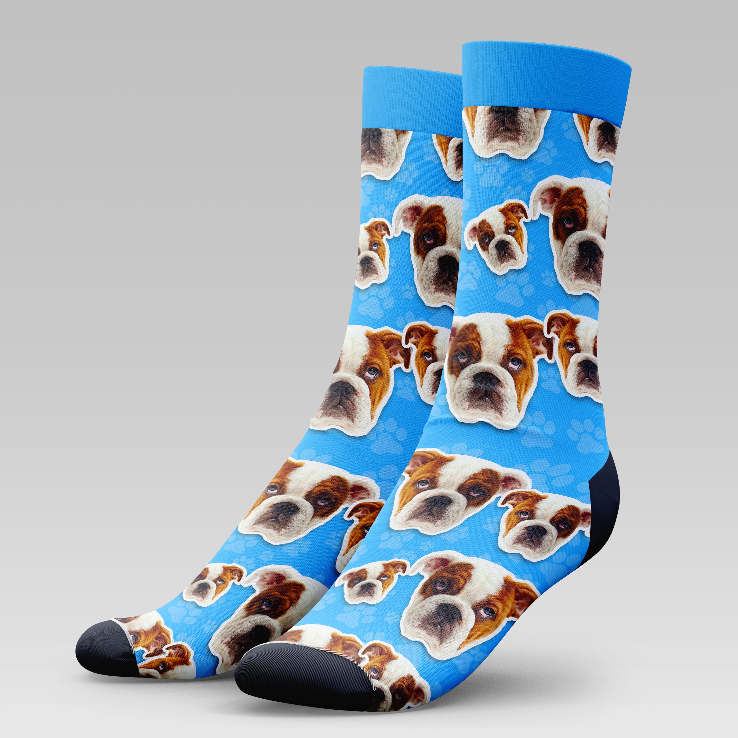 British Bulldog | Socks