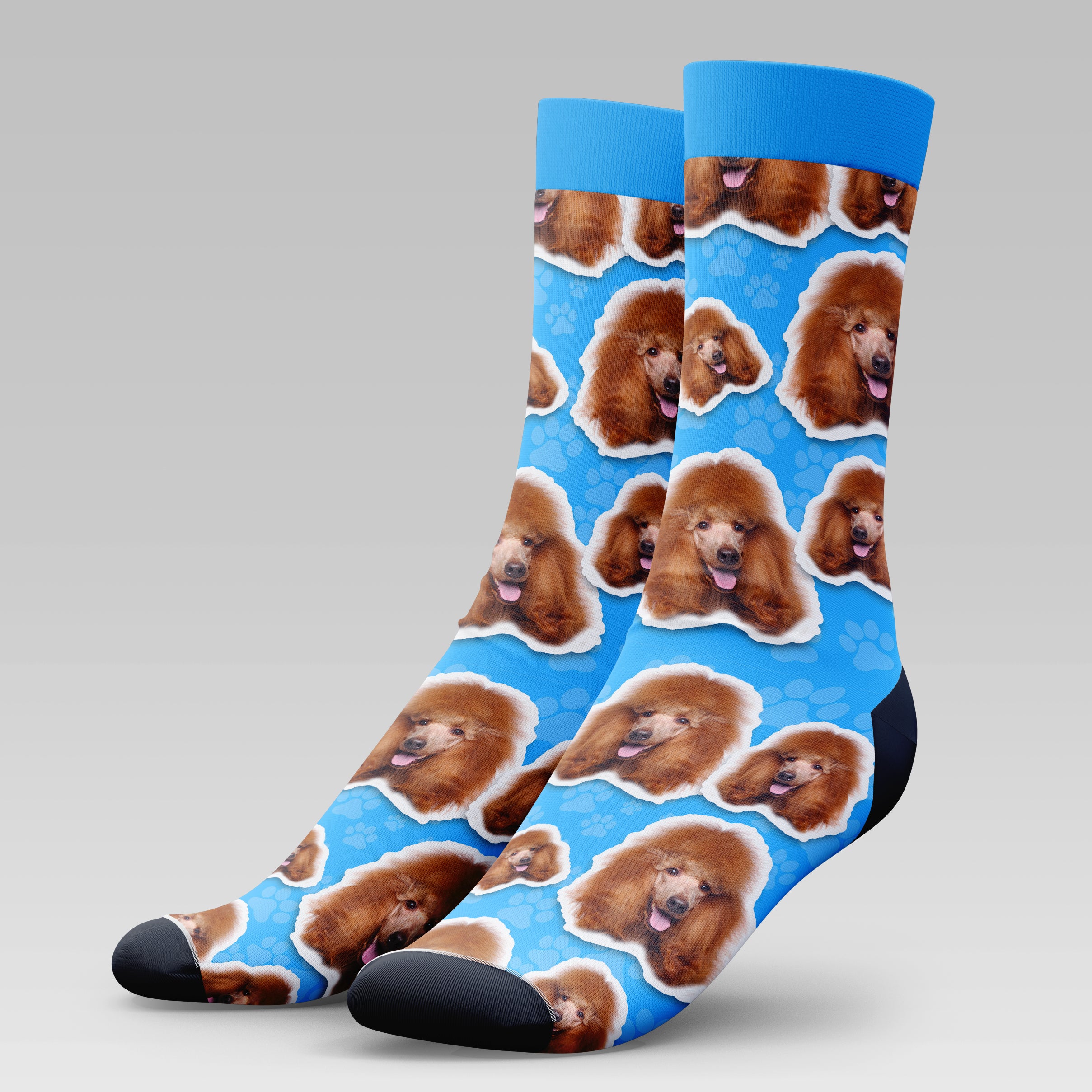 Brown Poodle Dog | Socks